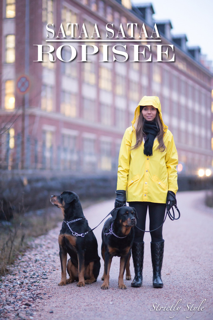 rain coat with dogs (2 of 7)