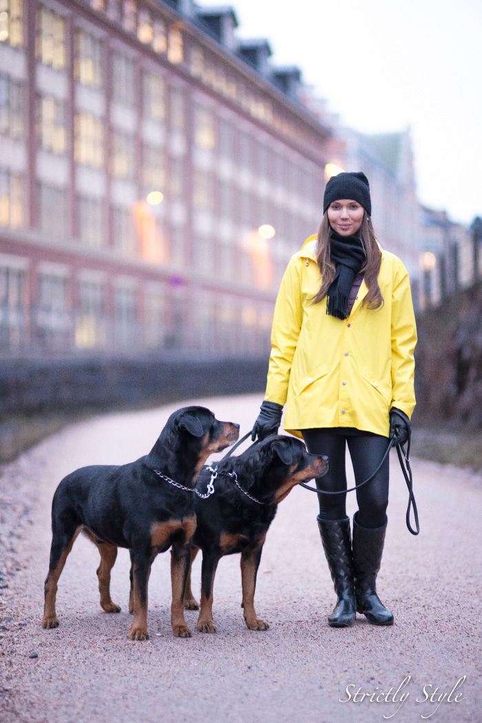 rain coat with dogs (3 of 7)