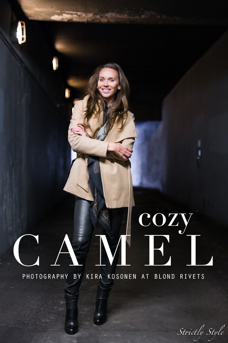 COZYCAMELTITLE